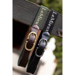 LeMieux Elasticated Belt -Horse Gear Store 0e014a505405ae40b7487e9d15855a45.image .1200x1200