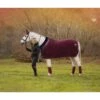 LeMieux Fleece Rug  -Horse Gear Store 1d188b8704100d61267b6b5fcaee988c.image .1200x1200