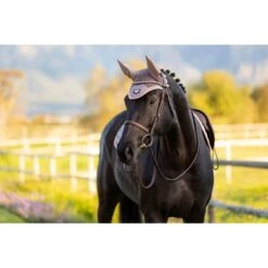 LeMieux Loire Rosé & Truffle Collection Fly Hoods -Horse Gear Store 79e385e0e64dd300f6c3b6c3152bfffb.image .1200x1200