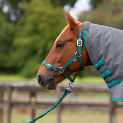 Eurohunter Comfort Halter And Lead -Horse Gear Store EMBHalter LeadGreen Charcoal 1 720x 720x720 0bfe0601 9ed9 4731 8916 ffdd50393dd1
