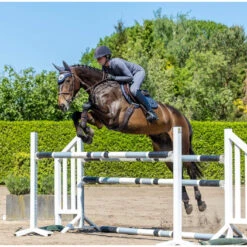 LeMieux Twilight Collection Classic Close Contact Square -Horse Gear Store FB IMG 1658474456889