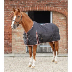 Premier Equine Garissa Stable Rug -Horse Gear Store Garissa Stable 100 Black 1 768x 49748848 0c2d 482e a6a8 dbe66285b4fe