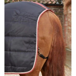 Premier Equine Garissa Stable Rug -Horse Gear Store Garissa Stable 100 Black 6 768x 75d3a987 a224 4d31 a7b7 91d89aa3061e