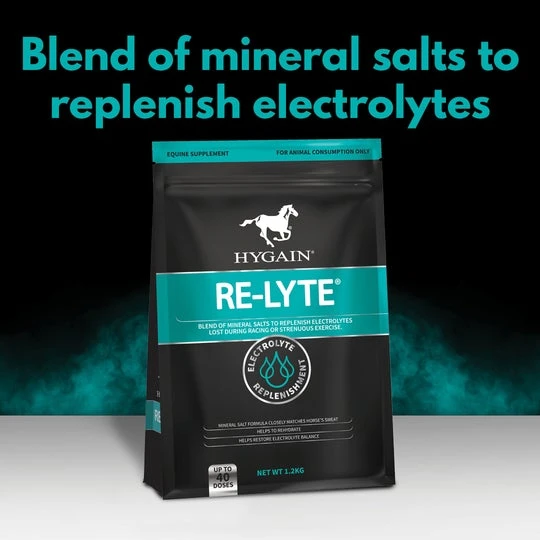 Hygain Re-Lyte 3 Hygain Re-Lyte