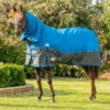Eurohunter Kosciuszko II (Last Season) Elite Combo -Horse Gear Store ProductImage 27 2000x 78757b50 aa3f 41cb 8a47 07bf749b21ca