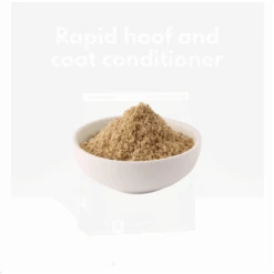 Hygain Gleam -Horse Gear Store Screenshot 20220122 160210