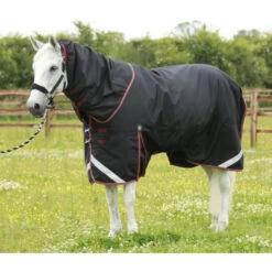 Premier Equine Titan 100 Turnout Rug With Detachable Neck Cover 21 Premier Equine Titan 100 Turnout Rug With Detachable Neck Cover -Horse Gear Store Titan 100 Black Main Standing Image 900x775 big