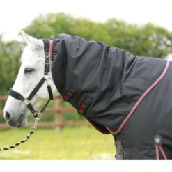 Premier Equine Titan 100 Turnout Rug With Detachable Neck Cover 23 Premier Equine Titan 100 Turnout Rug With Detachable Neck Cover -Horse Gear Store Titan 100 Black Neck Cover 900x775 big