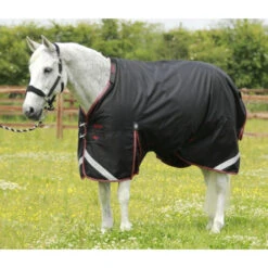Premier Equine Titan 100 Turnout Rug With Detachable Neck Cover 22 Premier Equine Titan 100 Turnout Rug With Detachable Neck Cover -Horse Gear Store Titan 100 Black No Neck 900x775 big