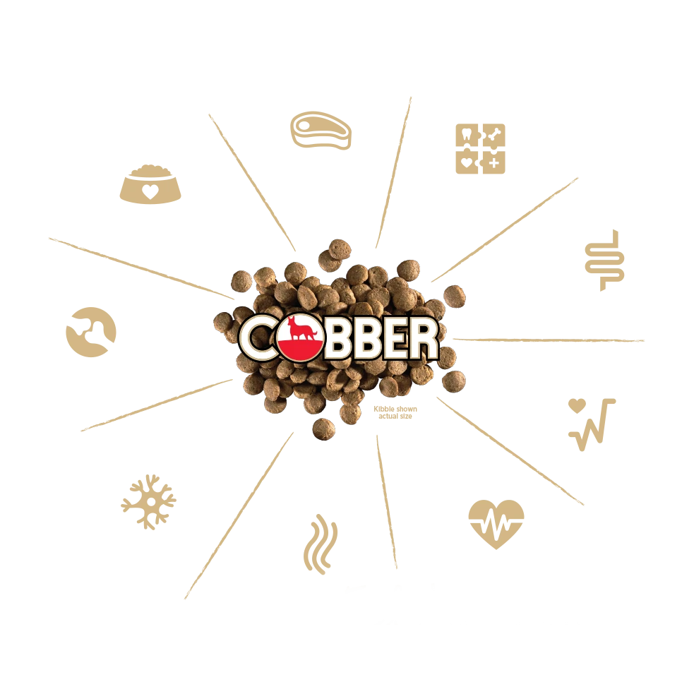 Cobber Active Dog 20kg (previously Country Dog) 4 Cobber Active Dog 20kg (previously Country Dog) - Image 2