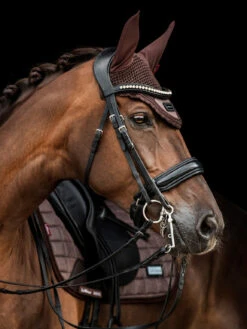 LeMieux Rhone Fly Hood -Horse Gear Store fc2a1792copy pt