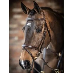 LeMieux Competition Bridle -Horse Gear Store g0a7025 1