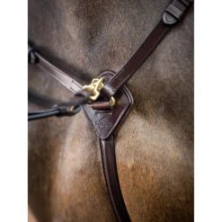LeMieux Breastplate -Horse Gear Store g0a7162