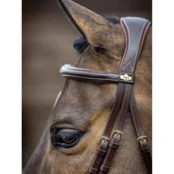 LeMieux Competition Bridle -Horse Gear Store g0a7191