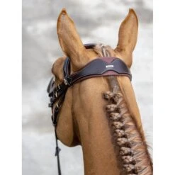 LeMieux Competition Bridle -Horse Gear Store g0a7434