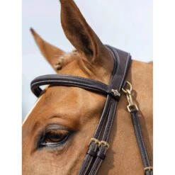 LeMieux Kudos Work Bridle -Horse Gear Store g0a7510