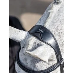 LeMieux Competition Bridle -Horse Gear Store g0a7648