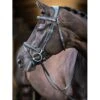 LeMieux Kudos Work Bridle -Horse Gear Store g0a7857