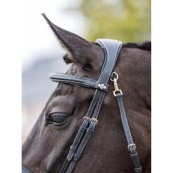LeMieux Kudos Work Bridle -Horse Gear Store g0a7900