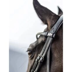 LeMieux Kudos Dressage Bridle -Horse Gear Store g0a7914