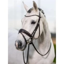 LeMieux Kudos Dressage Bridle -Horse Gear Store g0a7990 v2