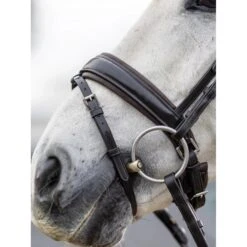 LeMieux Kudos Dressage Bridle -Horse Gear Store g0a8031