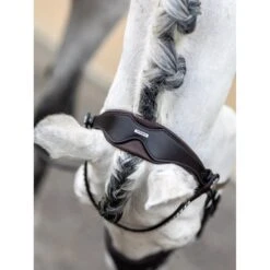 LeMieux Kudos Dressage Bridle -Horse Gear Store g0a8042