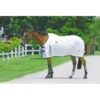 GG Australia Tear-Stop Rug *SALE* -Horse Gear Store gg australia tear stop rug rug