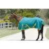 Horsemaster 20oz Ripstop 200g Canvas Rug 6'6 *SALE* 2 Horsemaster 20oz Ripstop 200g Canvas Rug 6'6 *SALE* -Horse Gear Store horsemaster canvas rug rug
