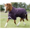 Premier Equine Titan 200 Original Turnout Rug -Horse Gear Store image 6b1efe4a 4fc2 4da5 bd50 b8992d9b3c32