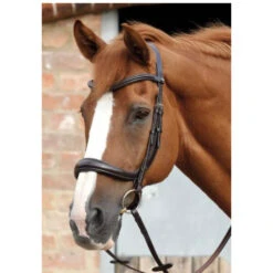 Premier EquineLambro Anatomic Bridle With Crank Noseband -Horse Gear Store imagejpg 3fc6f3ad a279 4625 b525 34642762d595