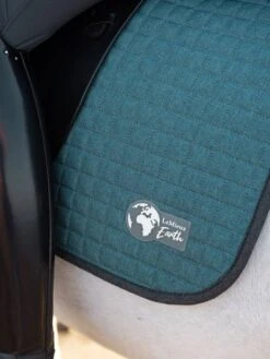 LeMieux Earth Collection Dressage Saddlepad -Horse Gear Store it01417 lifestyleearthdressagepad ocean 1 copy 395b3ec1 b578 42b5 af69 b56fdad22ecd