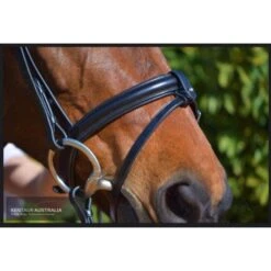 Kentaur 'Classic' Bridle With Rubber Reins -Horse Gear Store kentaur classic bridle with rubber reins bridle 4