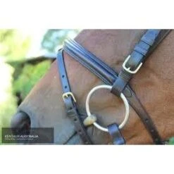 Kentaur 'Comfort Poll' Bridle -Horse Gear Store kentaur comfort poll bridle bridle 4