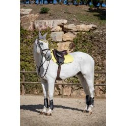 LeMieux Carbon Air XC Boots -Horse Gear Store lemieux carbon air xc boots boots 10