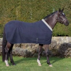 Lemieux Four Seasons Rug