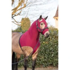 LeMieux Friction Free Lycra Hood -Horse Gear Store lemieux friction free lycra hood hood 4