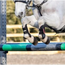 LeMieux Junior Pro Boots  -Horse Gear Store lemieux junior pro boots show jumping boots 10