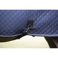 LeMieux Lustre Rug 17 LeMieux Lustre Rug -Horse Gear Store lemieux lustre rug rug 7