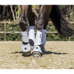 LeMieux Proshell Brushing Boots -Horse Gear Store lemieux proshell brushing boots boots 3