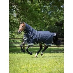LeMieux Arika Storm-Tek Rug With Detachable Neck 200g -Horse Gear Store lm stormtek1 hr