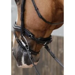 Premier Equine Favoloso Anatomic Bridle -Horse Gear Store premier equine favoloso anatomic bridle bridle 3