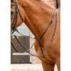 Premier Equine Gressan Standing Martingale -Horse Gear Store premier equine gressan standing martingale breastplate