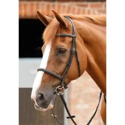 Premier Equine Mossimo Cavesson Bridle