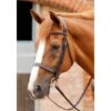 Premier Equine Primo Hunter Bridle -Horse Gear Store premier equine primo hunter bridle bridle