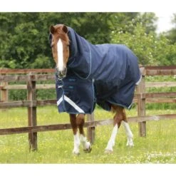 Premier Equine Titan 200g Turnout Rug With Detachable Neck Cover -Horse Gear Store premier equine titan 200 rug rug 13