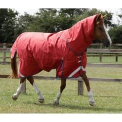 Premier Equine Titan 200g Turnout Rug With Detachable Neck Cover -Horse Gear Store premier equine titan 200 rug rug 8