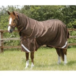 Premier Equine Titan 300g Turnout Rug With Detachable Neck Cover -Horse Gear Store premier equine titan 300g turnout rug rug 2