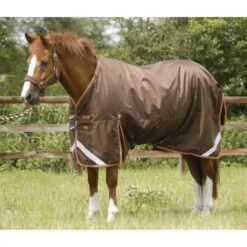 Premier Equine Titan 300g Turnout Rug With Detachable Neck Cover -Horse Gear Store premier equine titan 300g turnout rug rug
