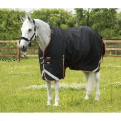 Premier Equine Titan 300g Turnout Rug With Detachable Neck Cover -Horse Gear Store premier equine titan 300g turnout rug rug 8